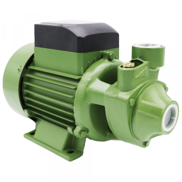 Motobomba Periférica Monofásica 220V 1,0CV PG-10 Schneider