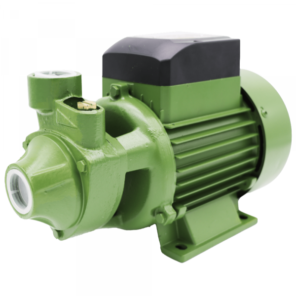 Motobomba Periférica Monofásica 220V 1,0CV PG-10 Schneider