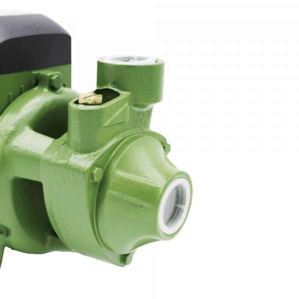 Motobomba Periférica Monofásica 220V 1,0CV PG-10 Schneider