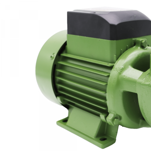 Motobomba Periférica Monofásica 220V 1,0CV PG-10 Schneider