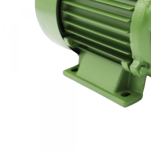 Motobomba Periférica Monofásica 220V 1,0CV PG-10 Schneider