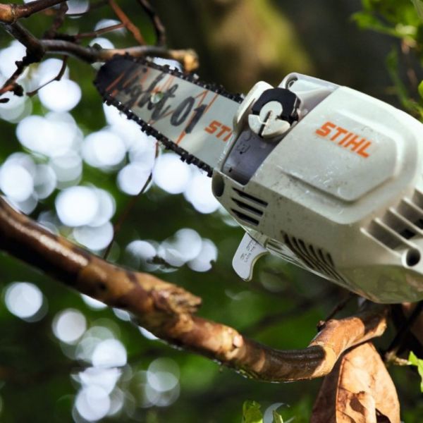 Motopoda HTA 86 sem Bateria 220V Stihl 