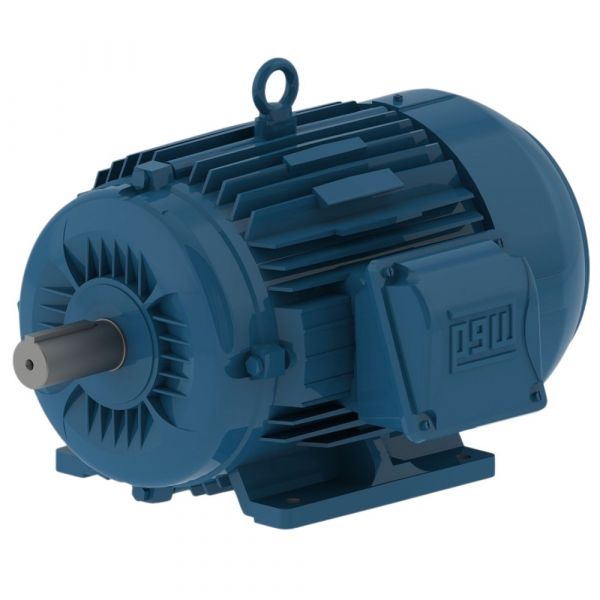 Motor Trifásico W22 IR3 Premium 20CV 4 Polos Fechado 220/380V 60 Hz IP55 Weg
