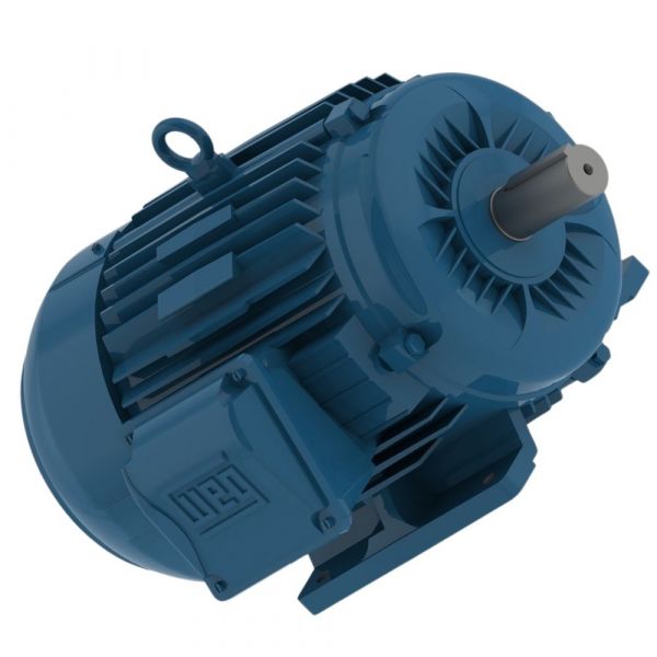 Motor Trifásico W22 IR3 Premium 20CV 4 Polos Fechado 220/380V 60 Hz IP55 Weg