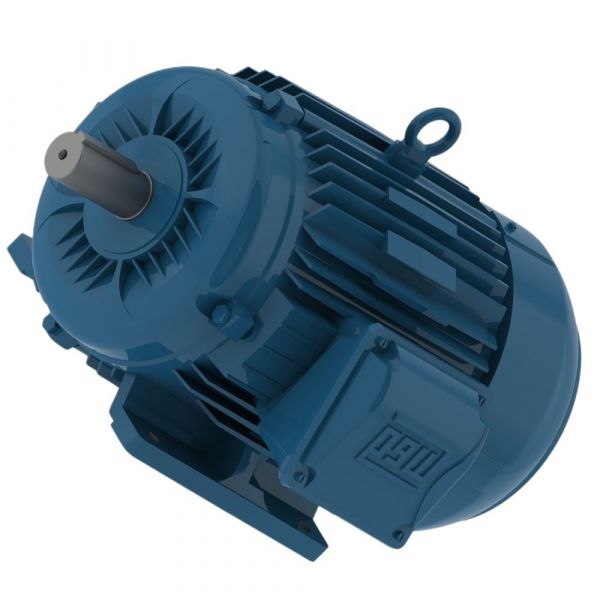 Motor Trifásico W22 IR3 Premium 20CV 4 Polos Fechado 220/380V 60 Hz IP55 Weg