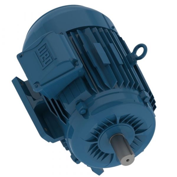 Motor Trifásico W22 IR3 Premium 20CV 4 Polos Fechado 220/380V 60 Hz IP55 Weg