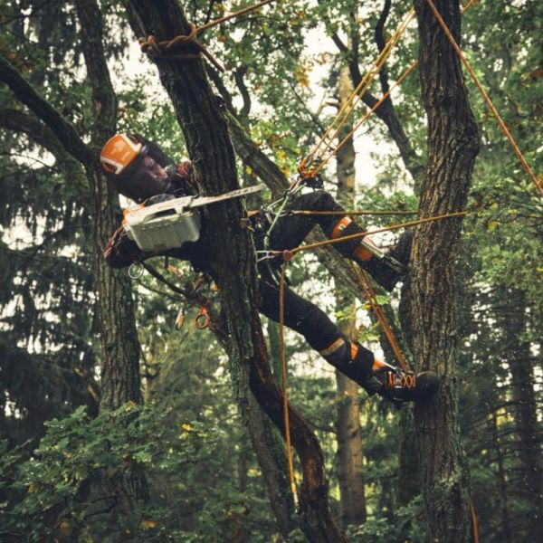 Motosserra Sem Bateria MSA 190 T Stihl