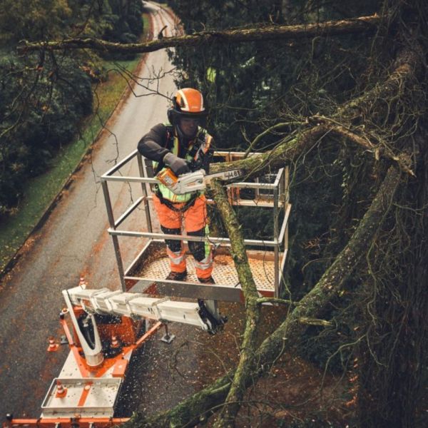 Motosserra Sem Bateria MSA 190 T Stihl