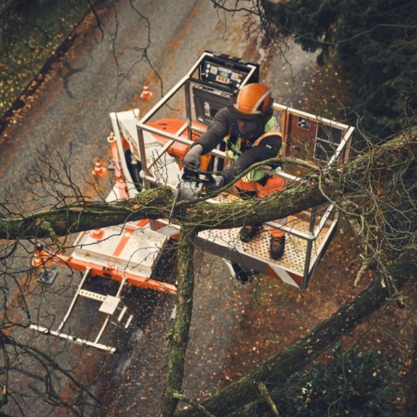 Motosserra Sem Bateria MSA 190 T Stihl