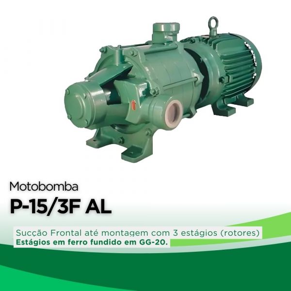 Motobomba 5cv P-15/3F AL 220/440V Monofásico Motor Nova Thebe