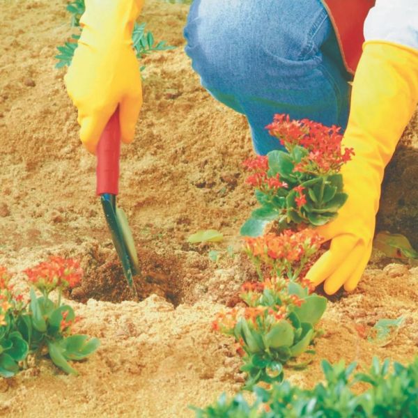 Pazinha Larga Manual FJ-1008 Trapp