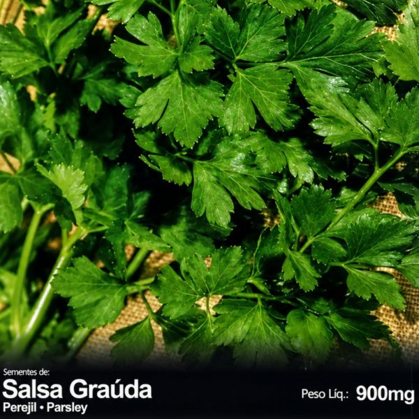 Semente Hortaliça Salsa Graúda Feltrin
