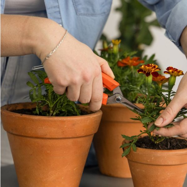 Tesoura para Frutas com Cabo Plástico Tramontina 