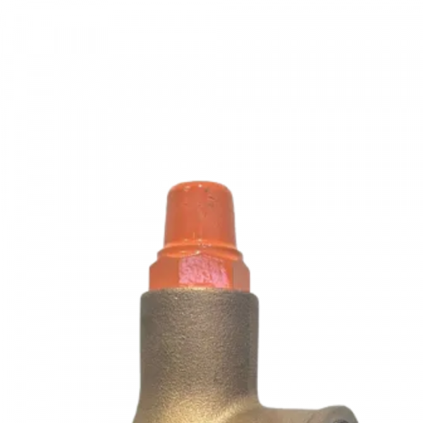 Válvula de Alívio DN25 40/150PSI 1 Pol. Dulong