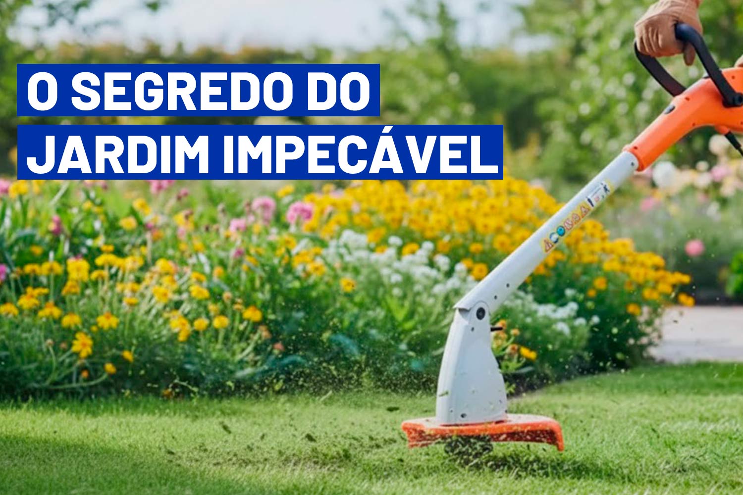 This is default alt image